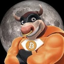 CryptoBull